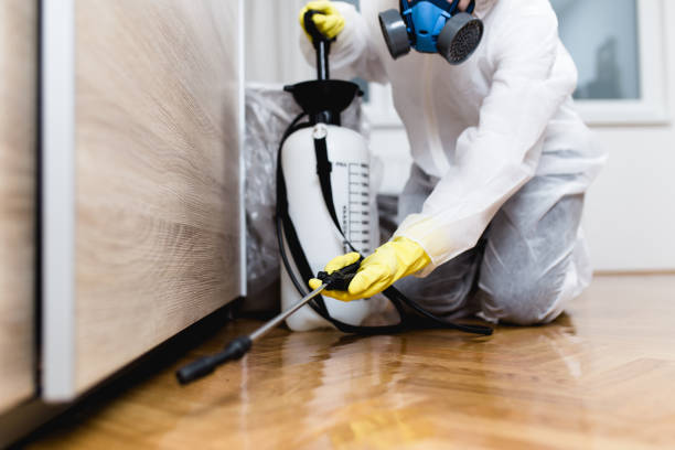 Best Affordable Pest Control Services  in Marfa, TX