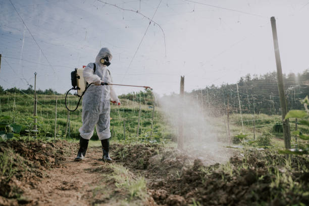 Best Commercial Pest Control Services  in Marfa, TX