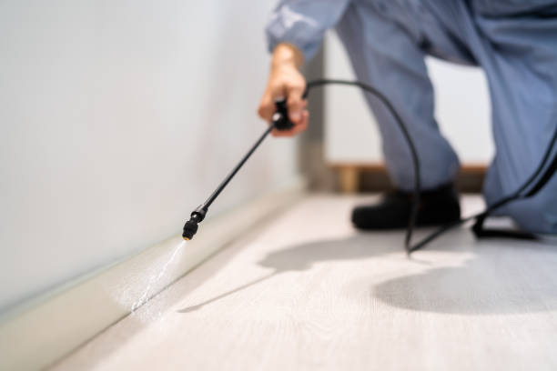 Pest Prevention Services in Marfa, TX