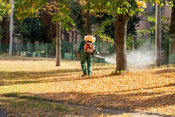 Flea Control Services in Marfa, TX