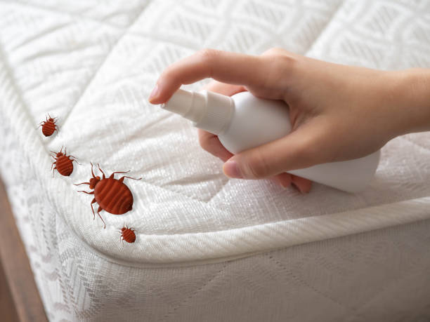 Best Best Pest Control Companies  in Marfa, TX