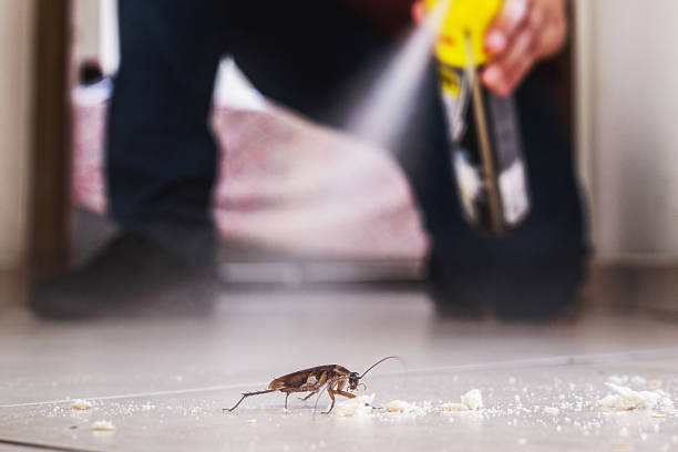 Best Pest Control for Homes  in Marfa, TX